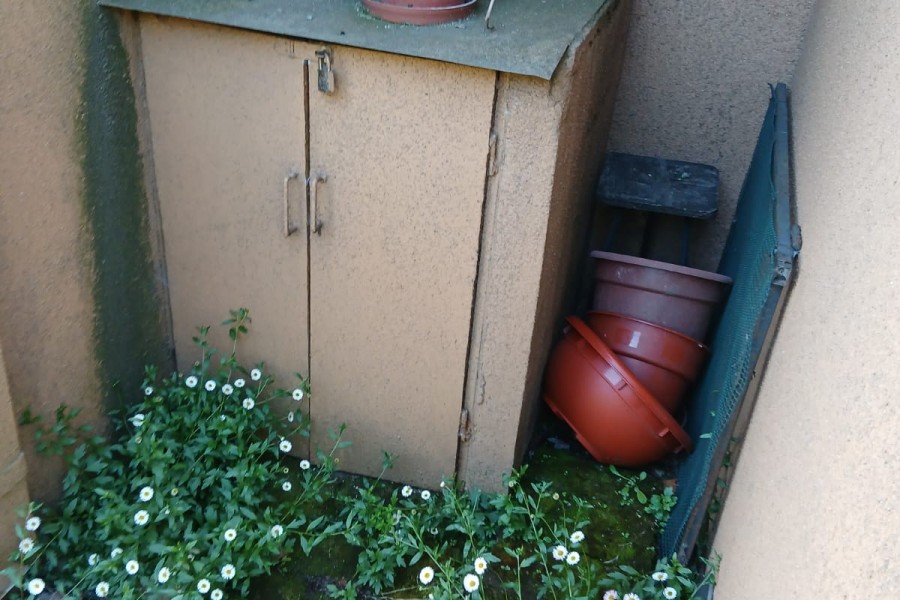 IMG-20260520-WA0010