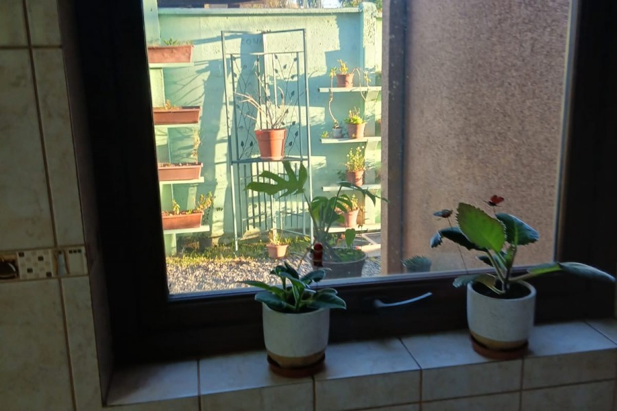 IMG-20260520-WA0048
